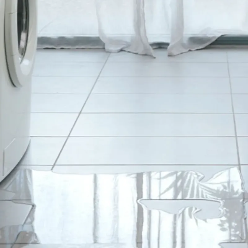 Appliance Leak Cleanup in Lauderdale, MN