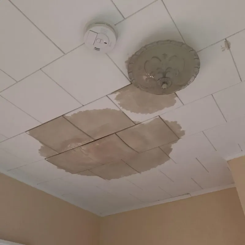 Ceiling Water Damage Repair in Lauderdale, MN