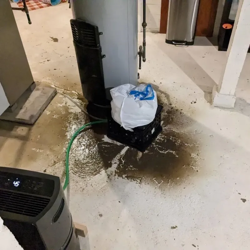 Sewage Backup Cleanup Service in Lauderdale, MN